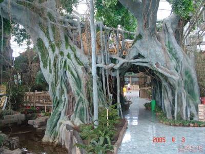 宜賓假樹大門 藝術與自然的完美融合