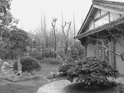 方寸苗圃，匠心筑夢 在有限空間里打造精品園林的藝術