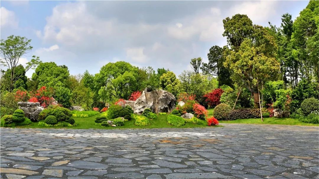 人文園林亮相首屆全國園林綠化養護管理產業峰會，共繪行業發展新藍圖
