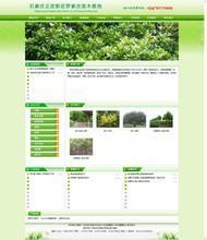 苗圃網站 打造園林綠化一站式產品參考寶典